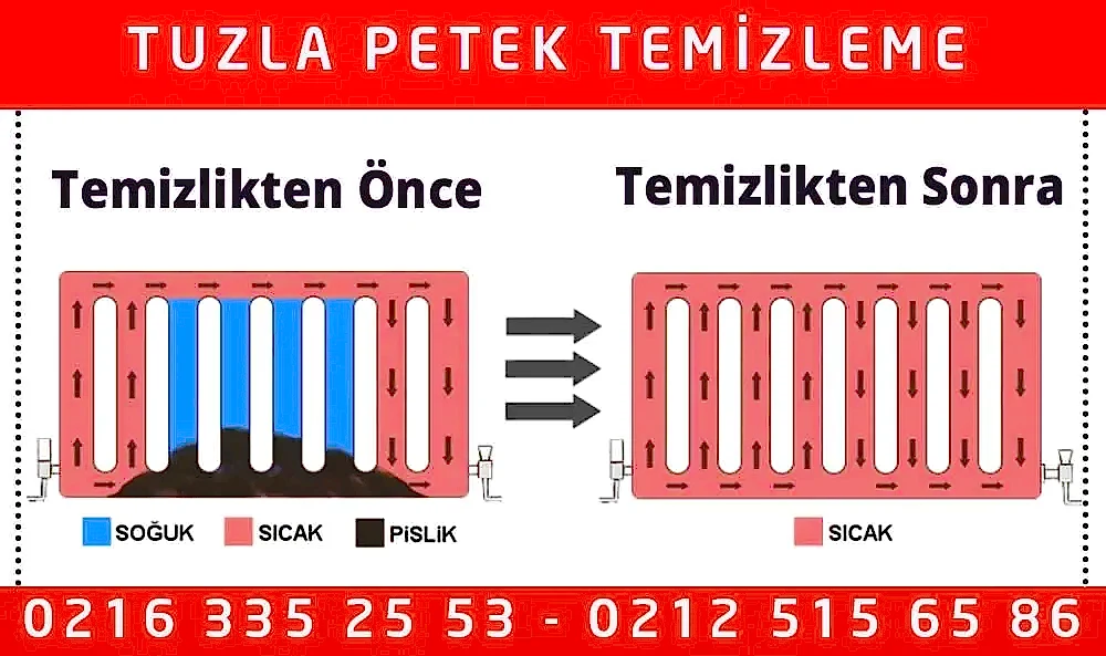 Tuzla Petek Temizleme