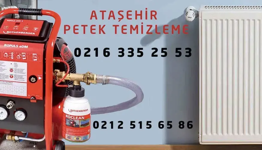 Ataşehir Petek Temizleme