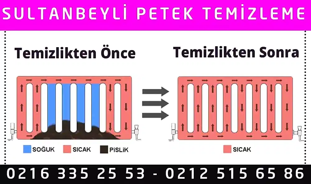 Sultanbeyli Petek Temizleme