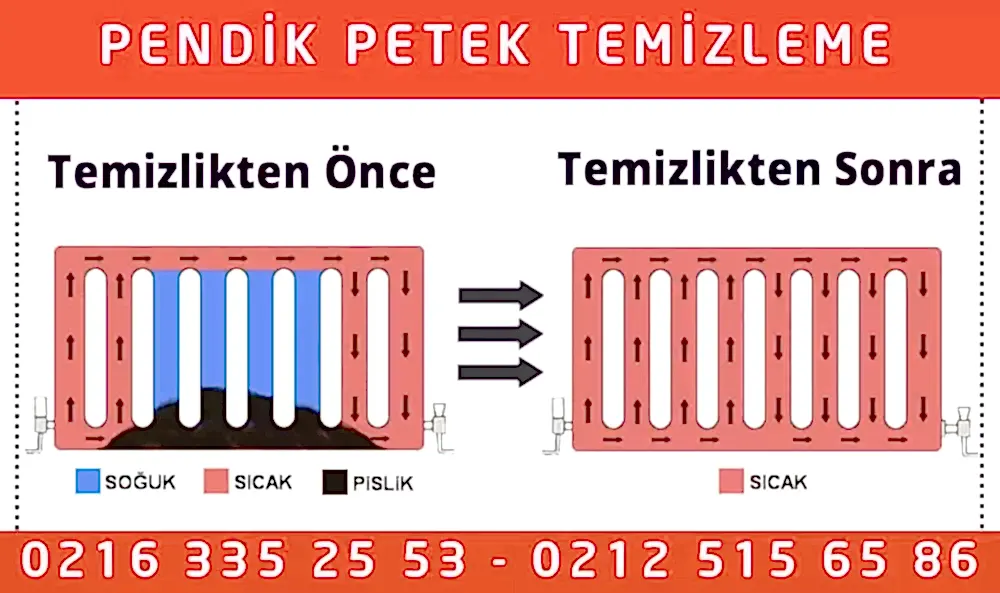 Pendik Petek Temizleme