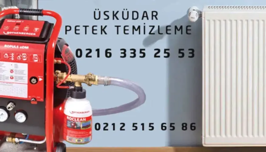 Üsküdar Petek Temizleme