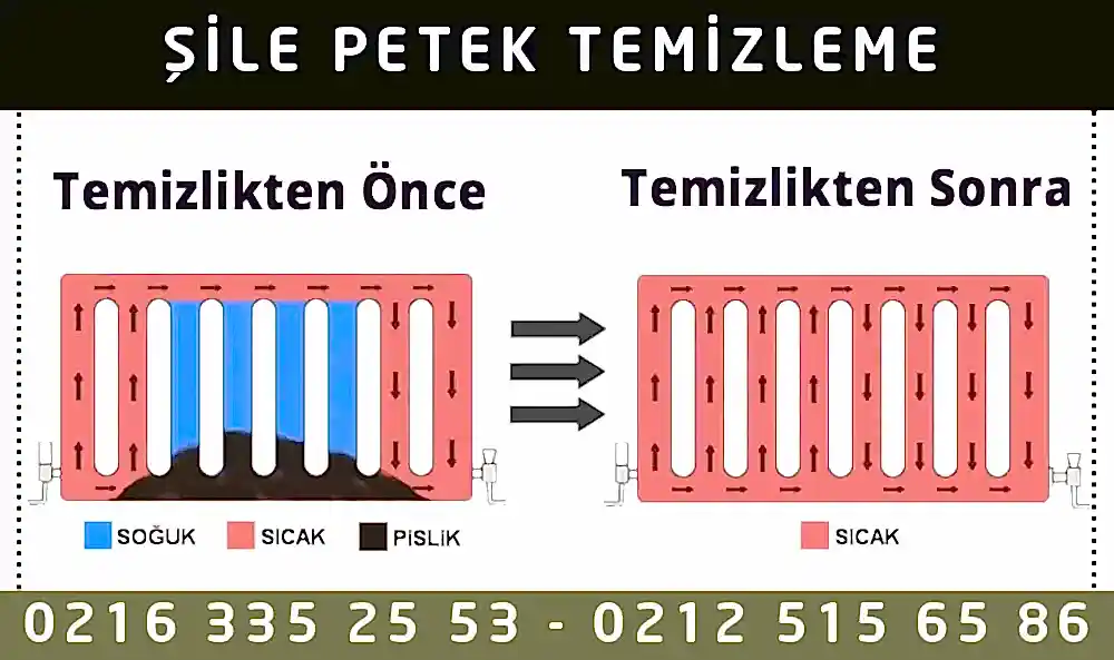 Şile Petek Temizleme